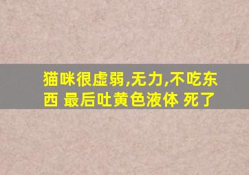 猫咪很虚弱,无力,不吃东西 最后吐黄色液体 死了